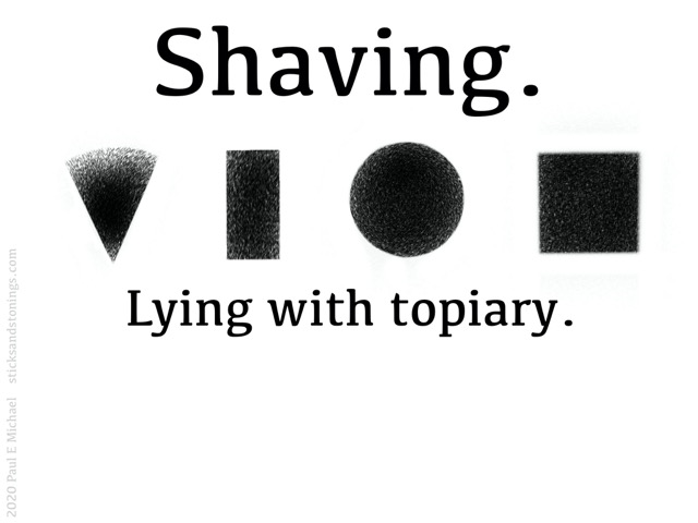 Lying-Shaving.jpg